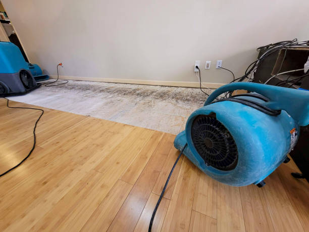 Professional Sewage Cleanup technician working in Keams Canyon, AZ